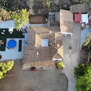 Bed & Breakfast Paloma, Benajarafe